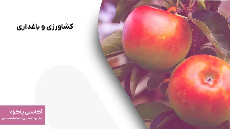 کشاورزی و باغداری