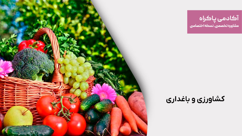 کشاورزی و باغداری