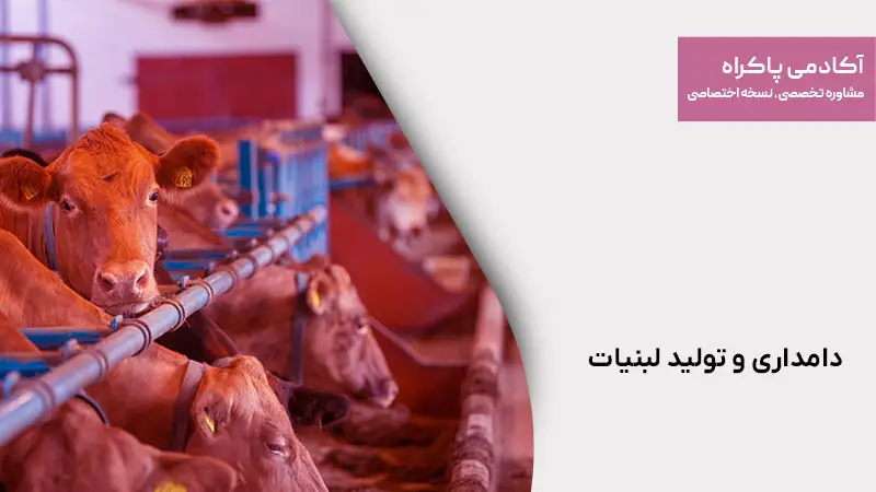 دامداری و تولید لبنیات