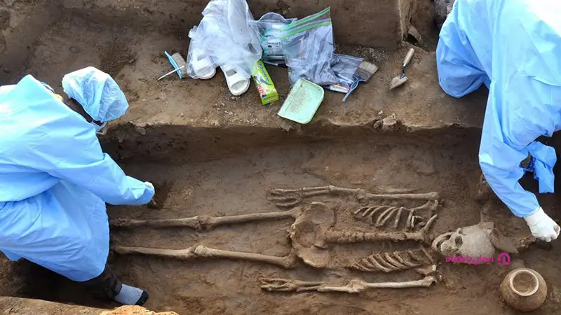 بازار کار باستان شناسی