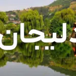 راهنمای شروع کسب و کار در دلیجان