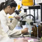 بررسی شغل‌های رشته پلیمر