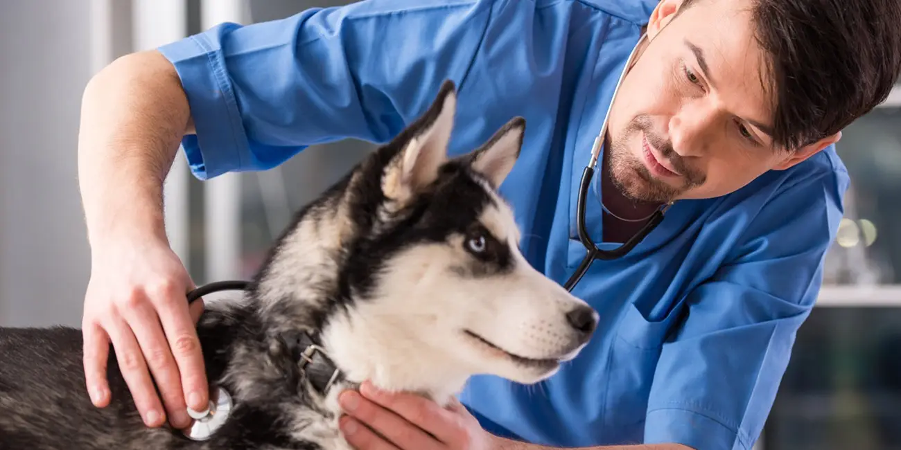 بررسی شغلهای رشته جانور شناسی