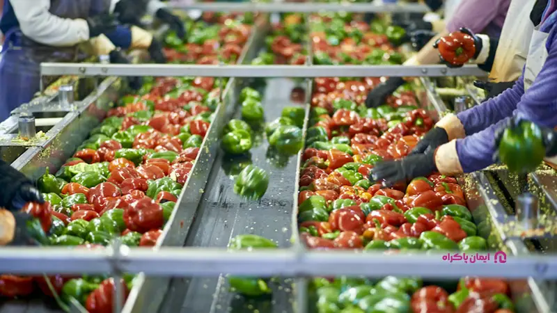 صنایع غذایی و کشاورزی در قزوین