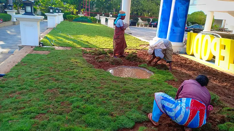 خدمات باغبانی و نگهداری از گل و گیاه