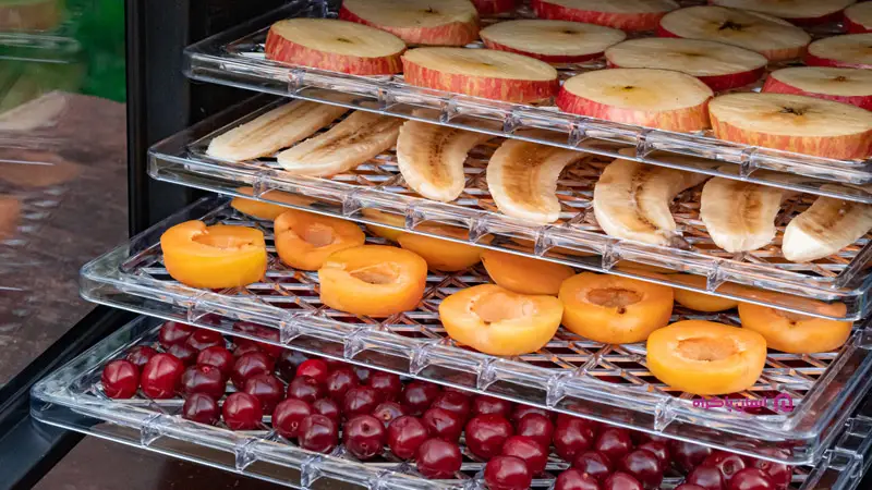 مصرف بالای برق دستگاه میوه خشک صنعتی