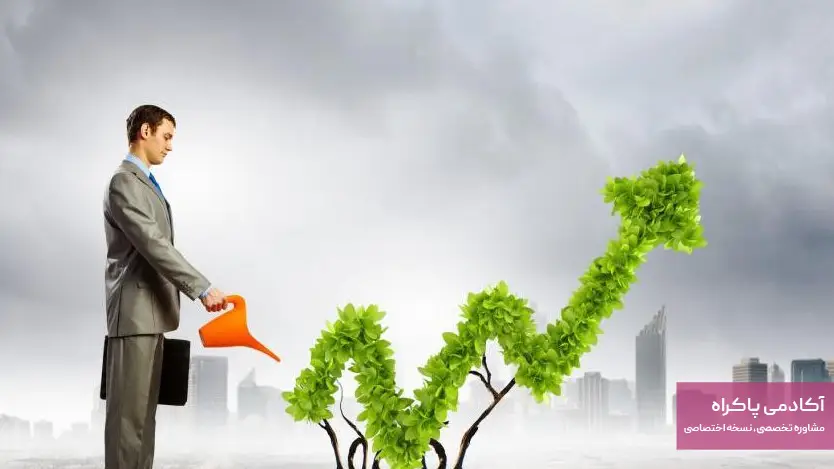 سرمایه گذاری اولیه