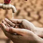 معرفی کسب‌وکارهایی که به آب کمی نیاز دارند!