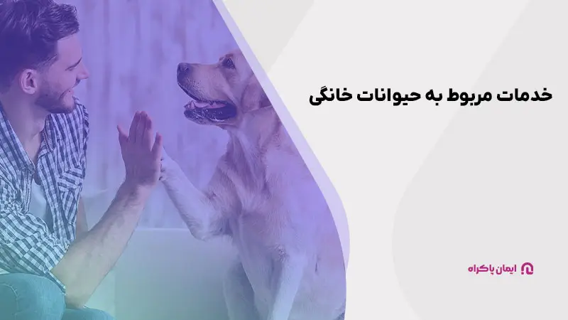 خدمات مربوط به حیوانات خانگی