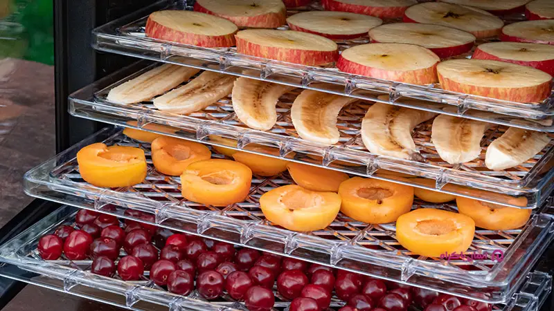 تهیه تجهیزات مورد نیاز تولید میوه خشک