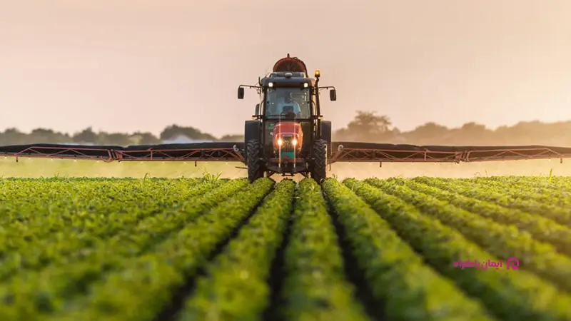 تولید و فراوری محصولات زراعی در قزوین