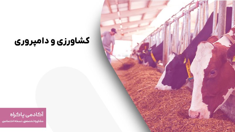 کشاورزی و دامپروری