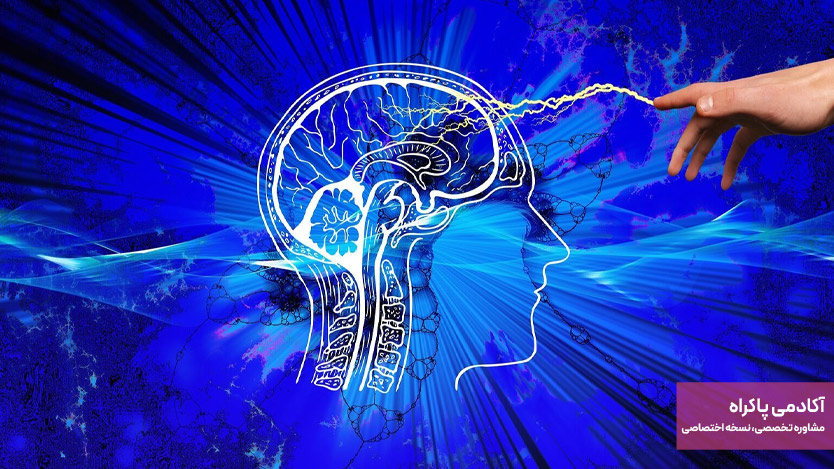 ویژگی ها و اهداف بازاریابی عصبی