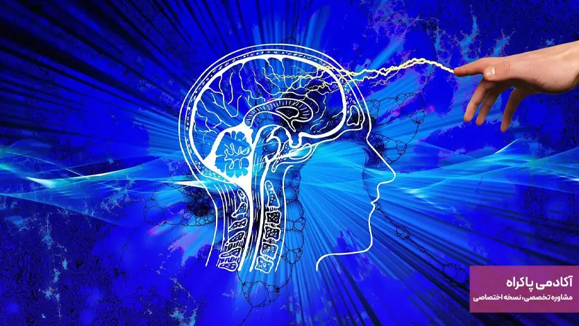 ویژگی ها و اهداف بازاریابی عصبی