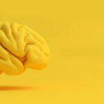 محتوای زرد چیست؟