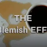 تکنیک “Blemish Effect” یا اثر لکه در بازاریابی و فروش