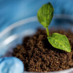 بررسی شغل‌ های رشته خاک