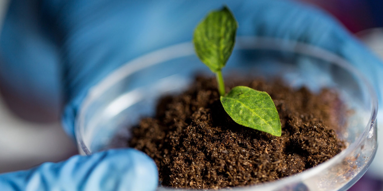 بررسی شغل‌ های رشته خاک