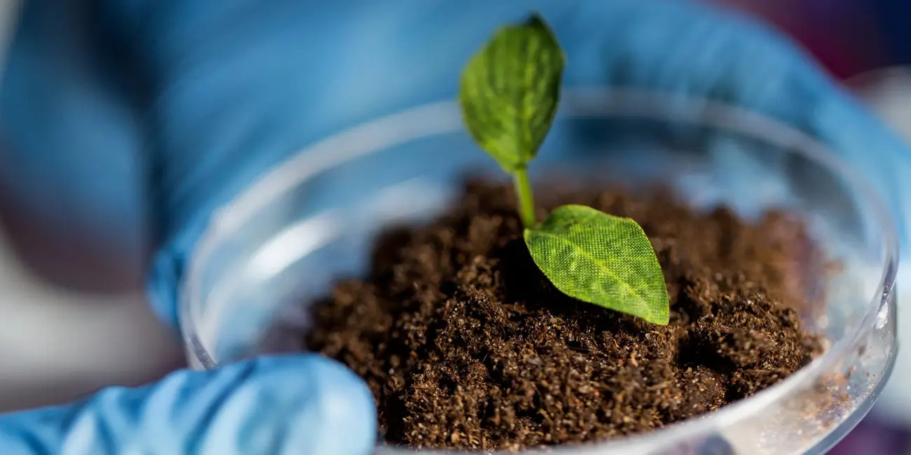 بررسی شغل های رشته خاک