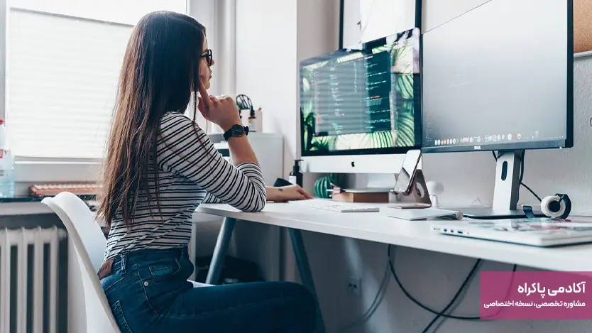 پشتیبان فنی / توسعهدهنده وب (در مواقع نیاز)