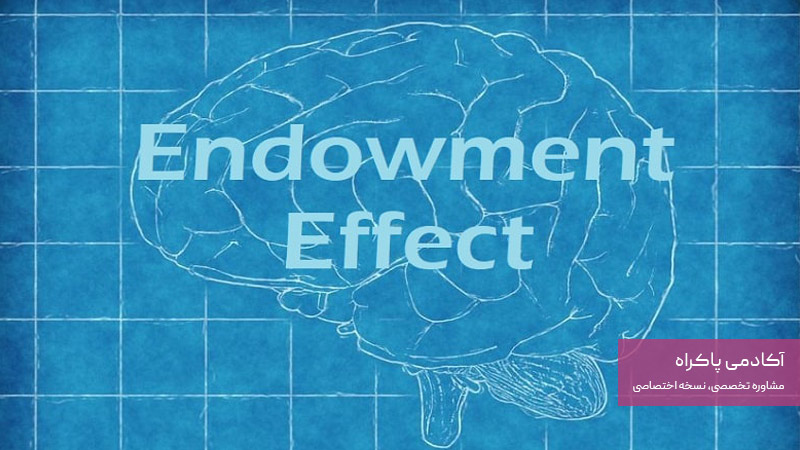 نظر ایمان پاکراه در مورد اثر مالکیت و تاثیر آن در بازاریابی و‌ فروش 