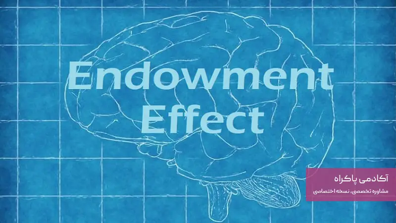نظر ایمان پاکراه در مورد اثر مالکیت و تاثیر آن در بازاریابی و‌ فروش 