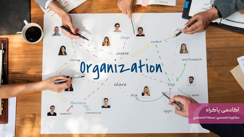 شناسایی نقش ها و مهارت ها برای ساخت تیم تولید محتوای شبکههای اجتماعی