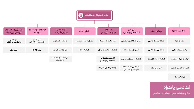 چارت سازمانی تیم دیجیتال مارکتینگ