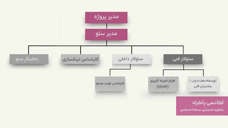 چارت سازمانی تیم سئو