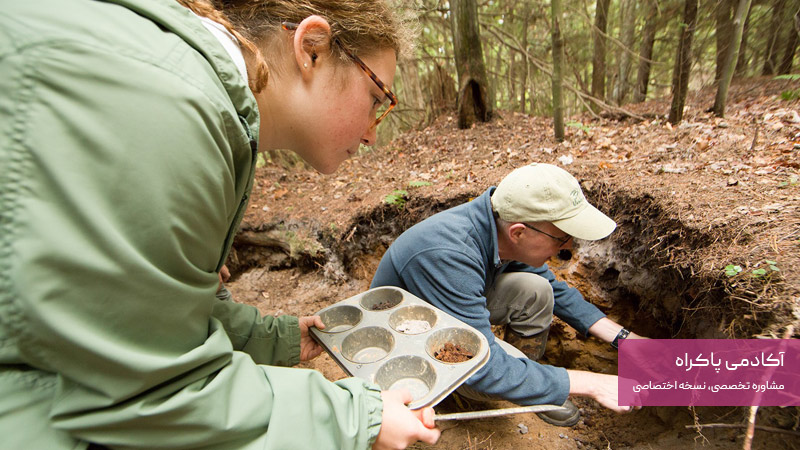 کارشناس حفاظت از خاک؛ از مشاغل رشته خاک