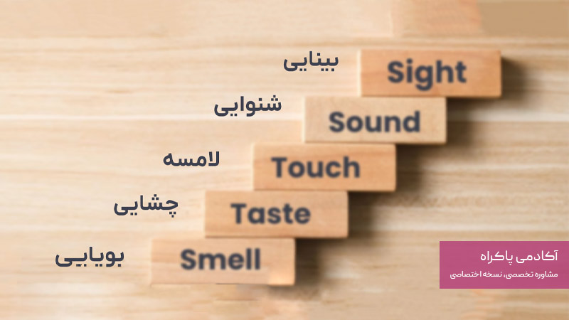 بررسی حواس پنجگانه در بازاریابی حسی 