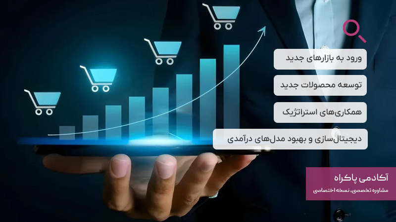 توسعه کسب‌وکار چیست