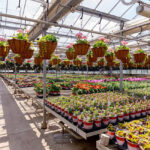 بوم مدل کسب و کار گلخانه