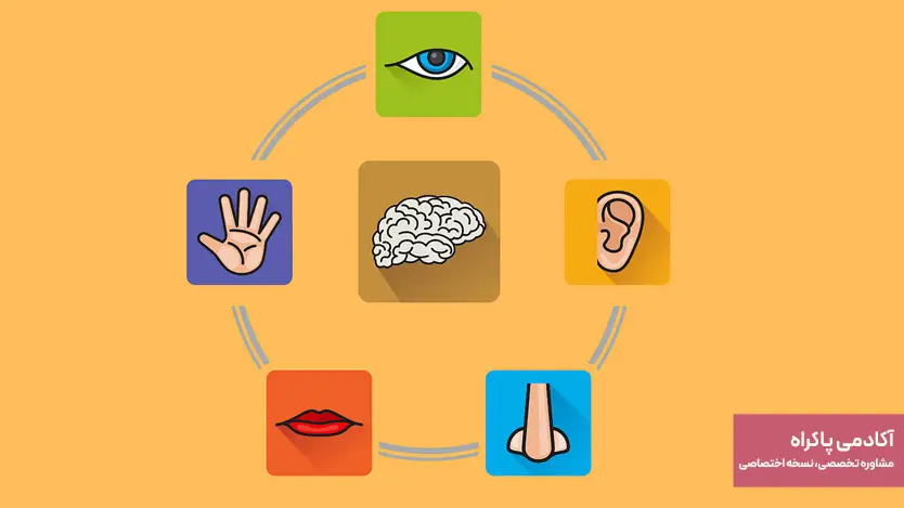 بازاریابی حسی (Sensory Marketing)