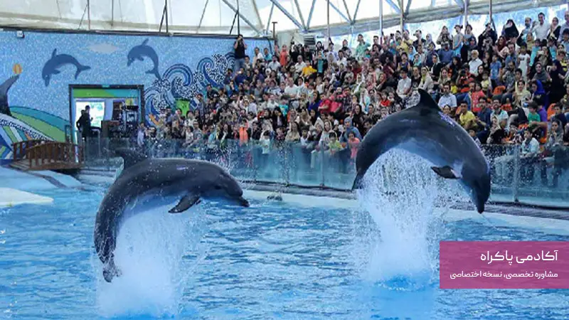 گردشگری اکتیو در کیش