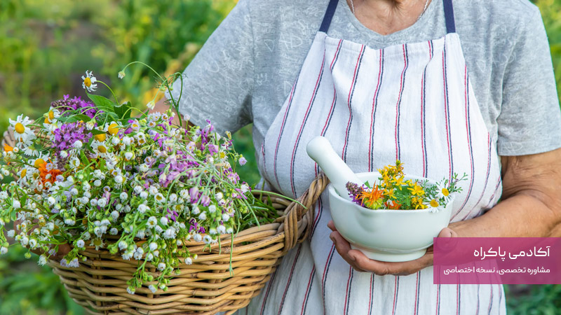 مزایا و معایب کسب ‌و کار پرورش گیاهان دارویی