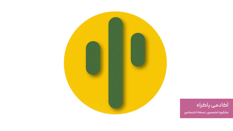 نرم افزار حسابداری کاکتوس