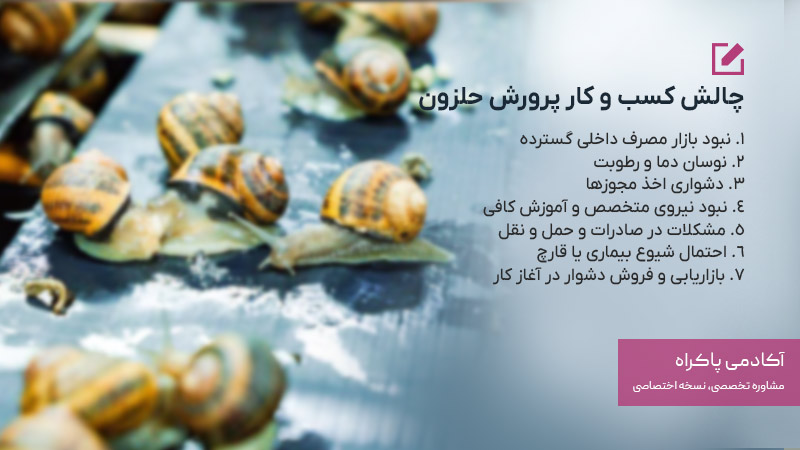 چالش کسب ‌و کار پرورش حلزون