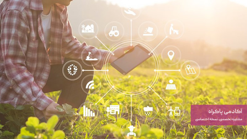  توسعه کسب ‌و کار پرورش گیاهان دارویی