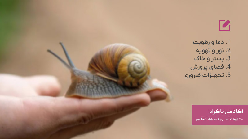 شرایط محیطی و فضای مورد نیاز برای پرورش حلزون