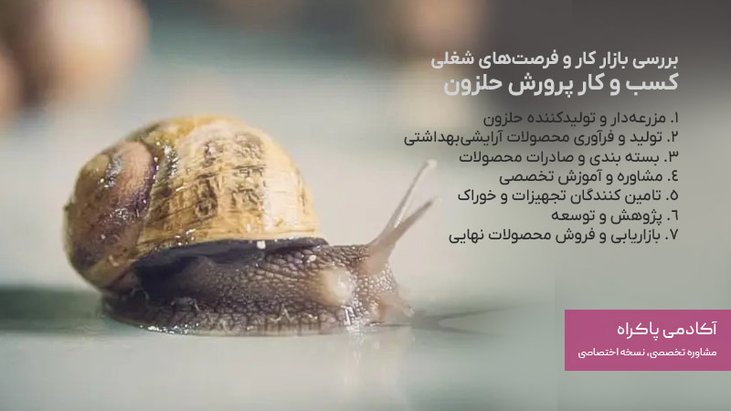 فرصت‌های شغلی کسب ‌و کار پرورش حلزون