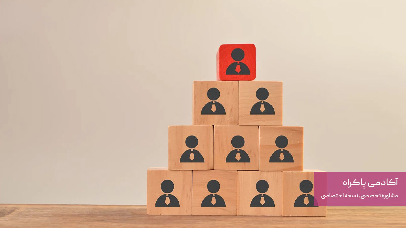 سطوح شغلی در حوزه دیجیتال مارکتینگ