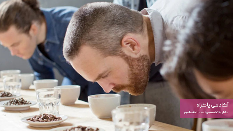 مثال از پیشنهاد رایگان بودن محصولات