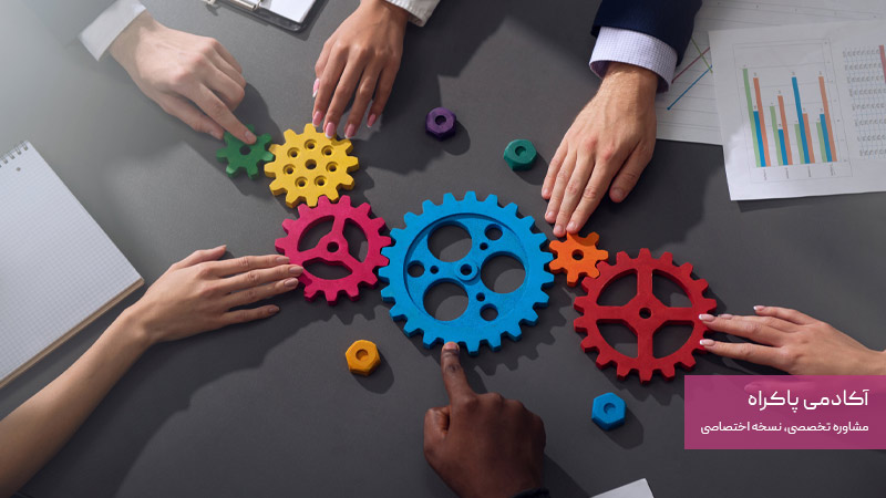 سیستم‌ها در مدل مکنزی