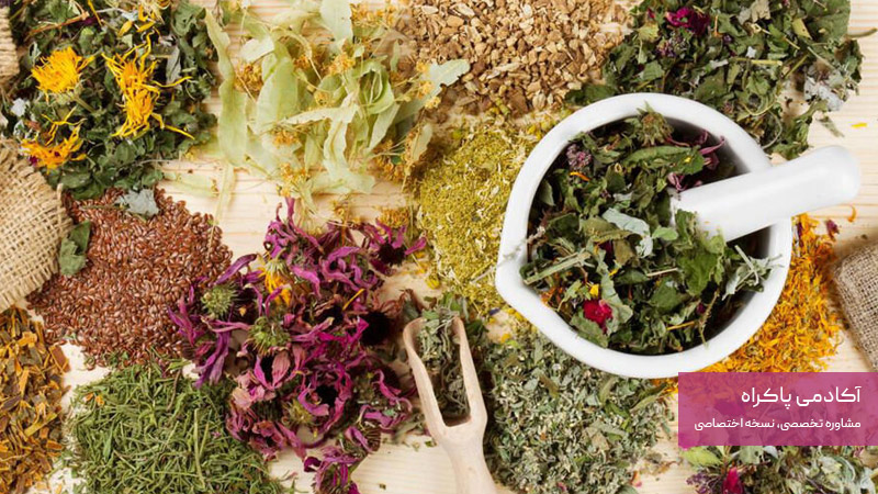 نگاهی به کسب ‌و کار پرورش گیاهان دارویی