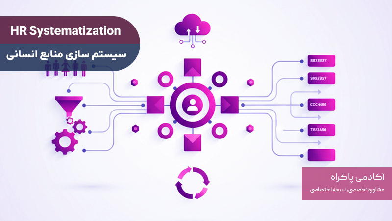 سیستم سازی منابع انسانی چیست؟