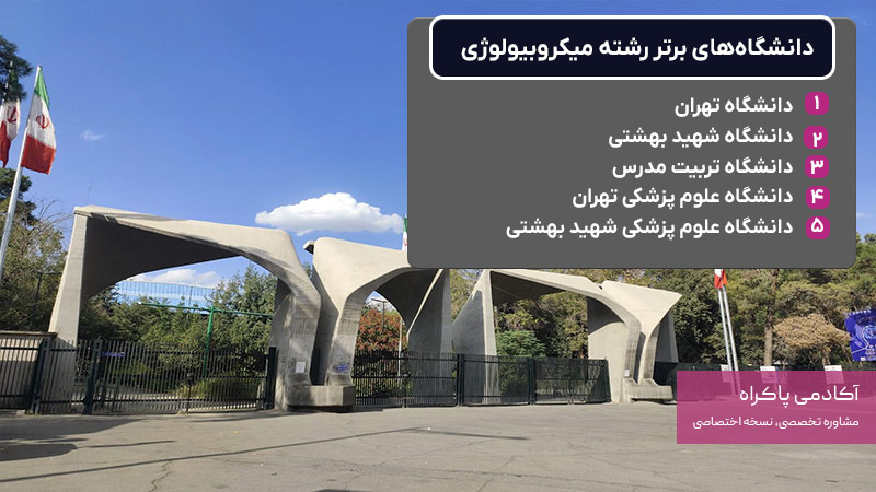 دانشگاه‌های برتر رشته میکروبیولوژی